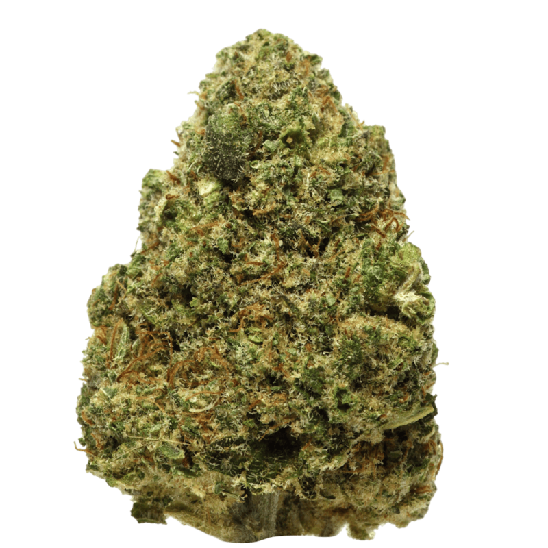 Blue Cheese - Fleurs CBD blue cheese Delta 9 THC France