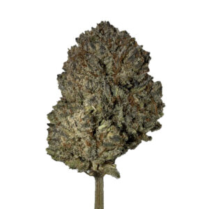 Purple Kush - Fleurs CBD purple kush Delta 9 THC France
