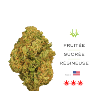 Delta X - Fleurs CBD delta x Delta 9 THC France