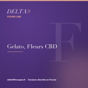 gelato