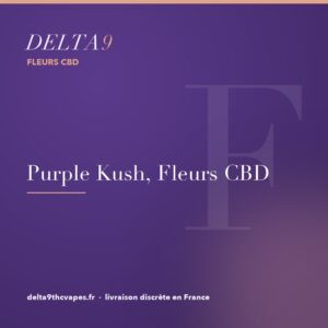 purple kush