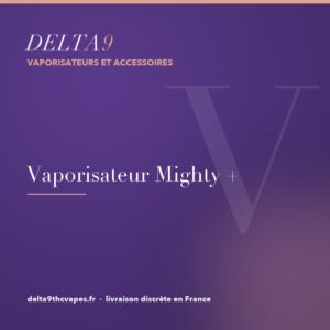 vaporisateur mighty +